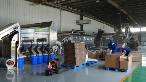 思茅區(qū) 傳統(tǒng)與創(chuàng)新共舞 繪就有機(jī)茶發(fā)展新畫(huà)卷